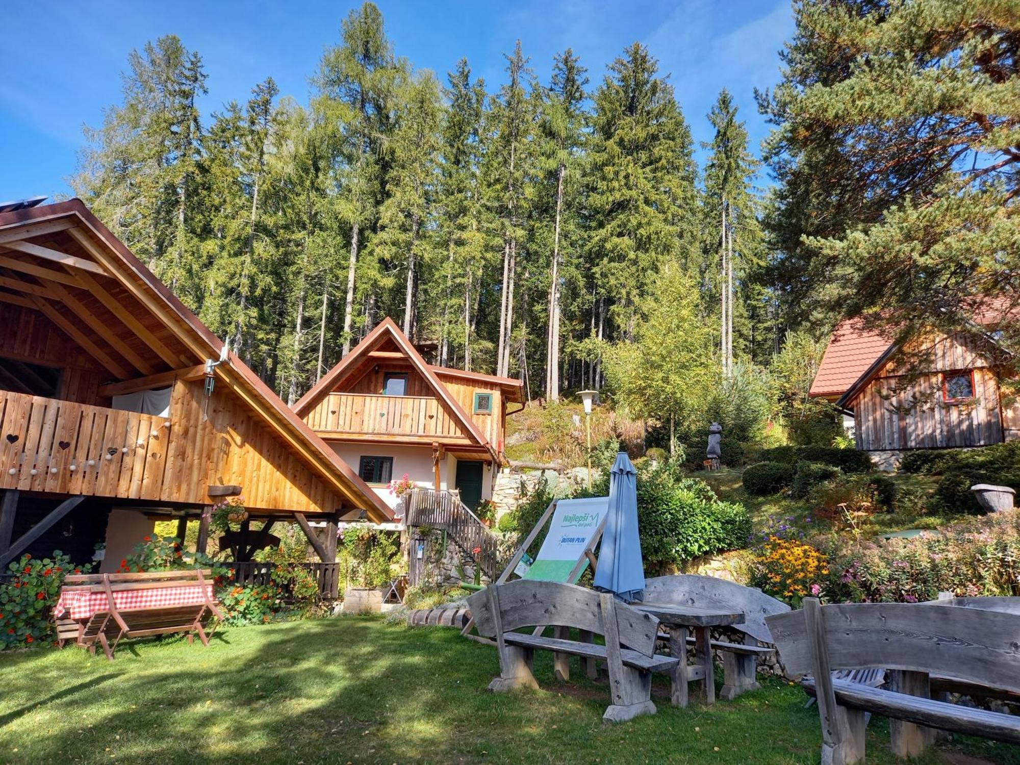 Guesthouse Planinski Dom Majerhold Solcava Luaran gambar