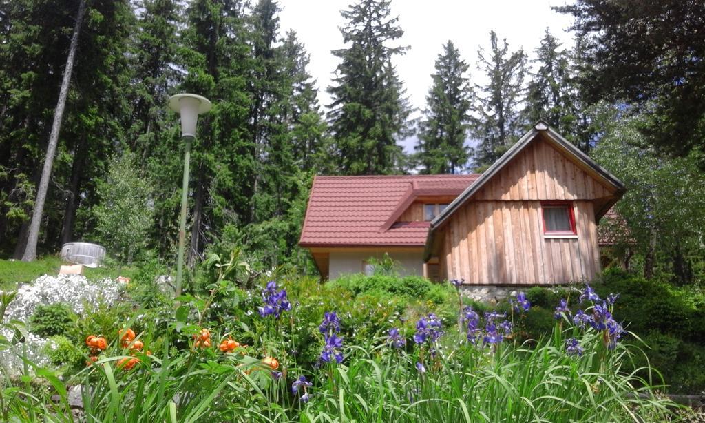 Guesthouse Planinski Dom Majerhold Solcava Luaran gambar