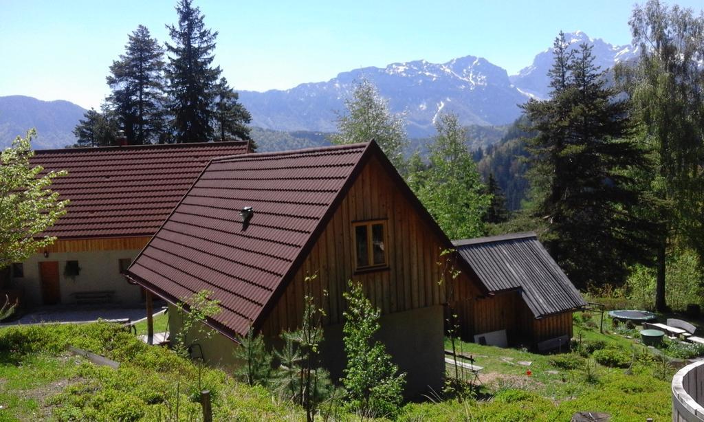 Guesthouse Planinski Dom Majerhold Solcava Luaran gambar